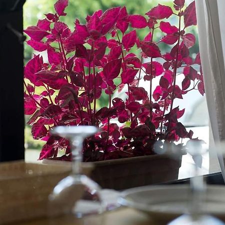 Hotel Annarita Rimini Zewnętrze zdjęcie