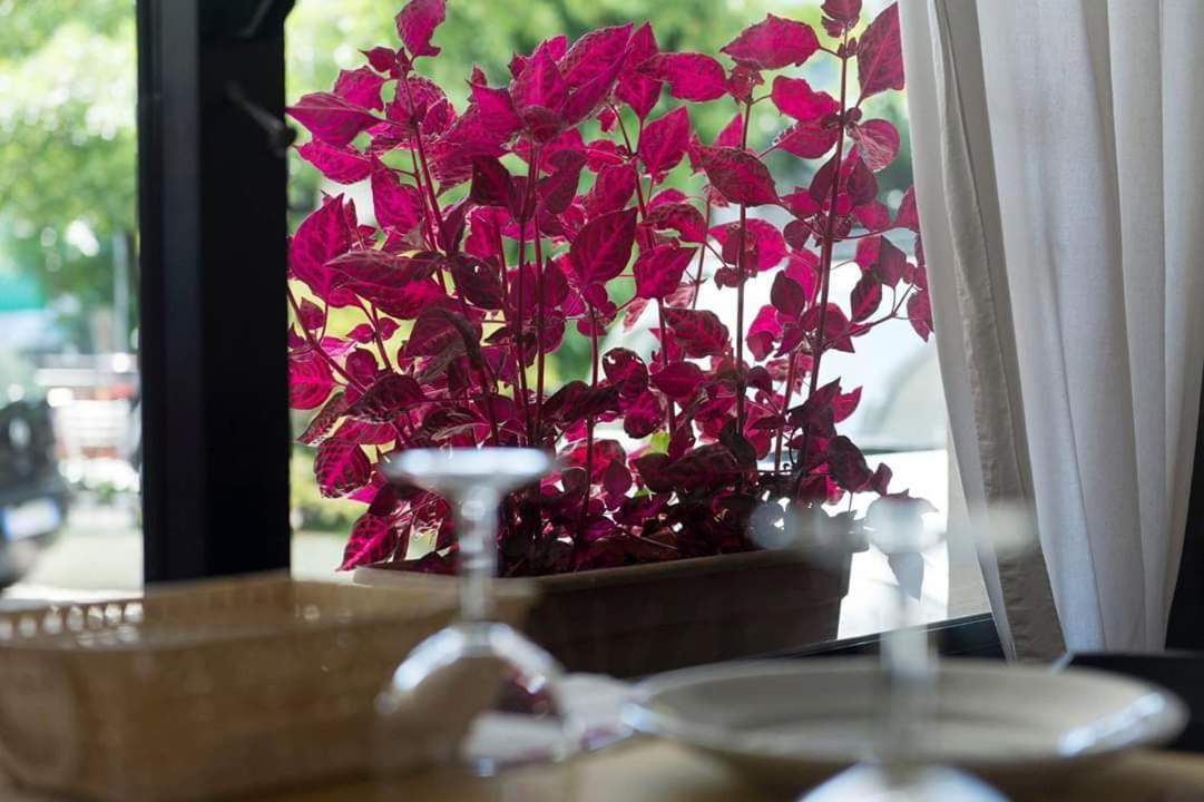 Hotel Annarita Rimini Zewnętrze zdjęcie